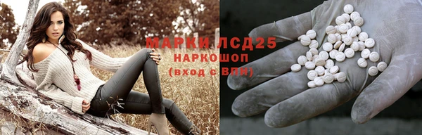 spice Баксан